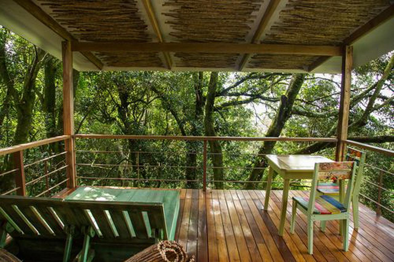 Chayote Lodge Zarcero Exterior foto